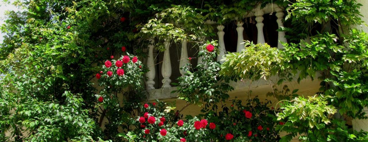 Terra Mirna Βίλα Vižinada Εξωτερικό φωτογραφία
