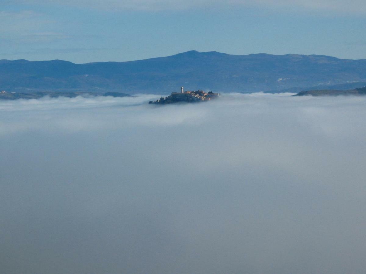 Terra Mirna Βίλα Vižinada Εξωτερικό φωτογραφία