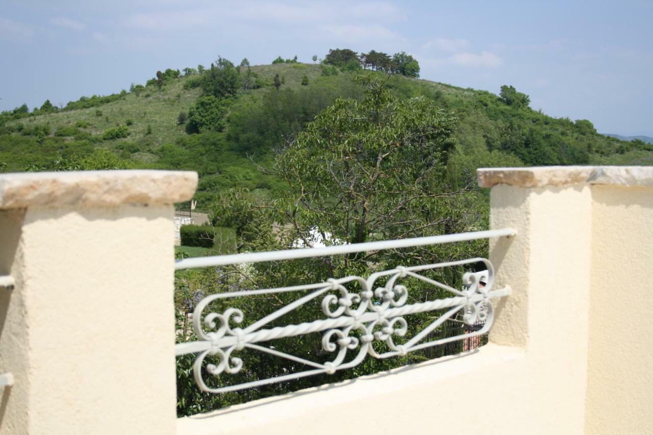 Terra Mirna Βίλα Vižinada Εξωτερικό φωτογραφία